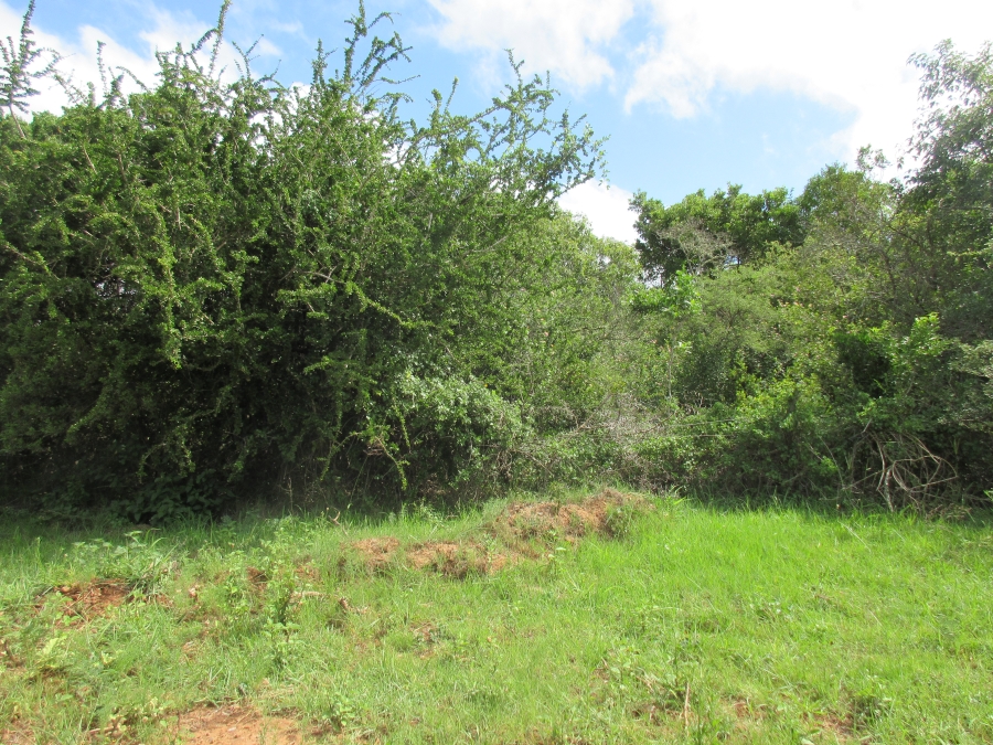 0 Bedroom Property for Sale in Bathurst Eastern Cape